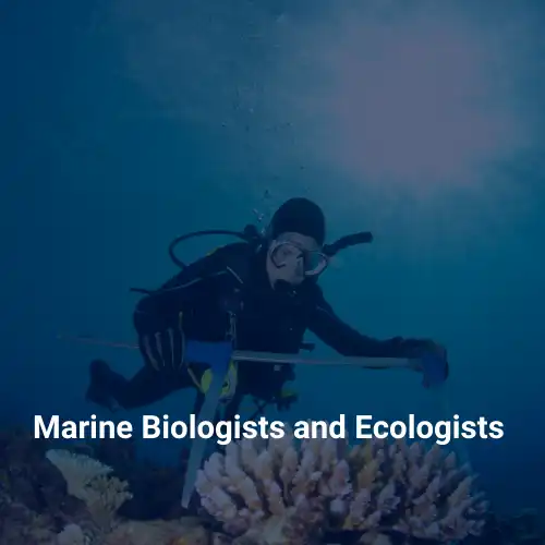 Marine Biologists and Ecologists